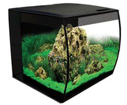 Aquarium équipé haut de gamme 45 Fluval à devant arrondi avec