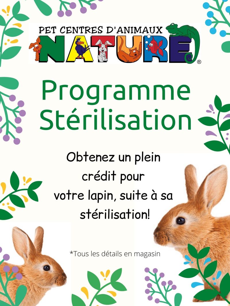 Programme Stérilisation Lapins Centre d